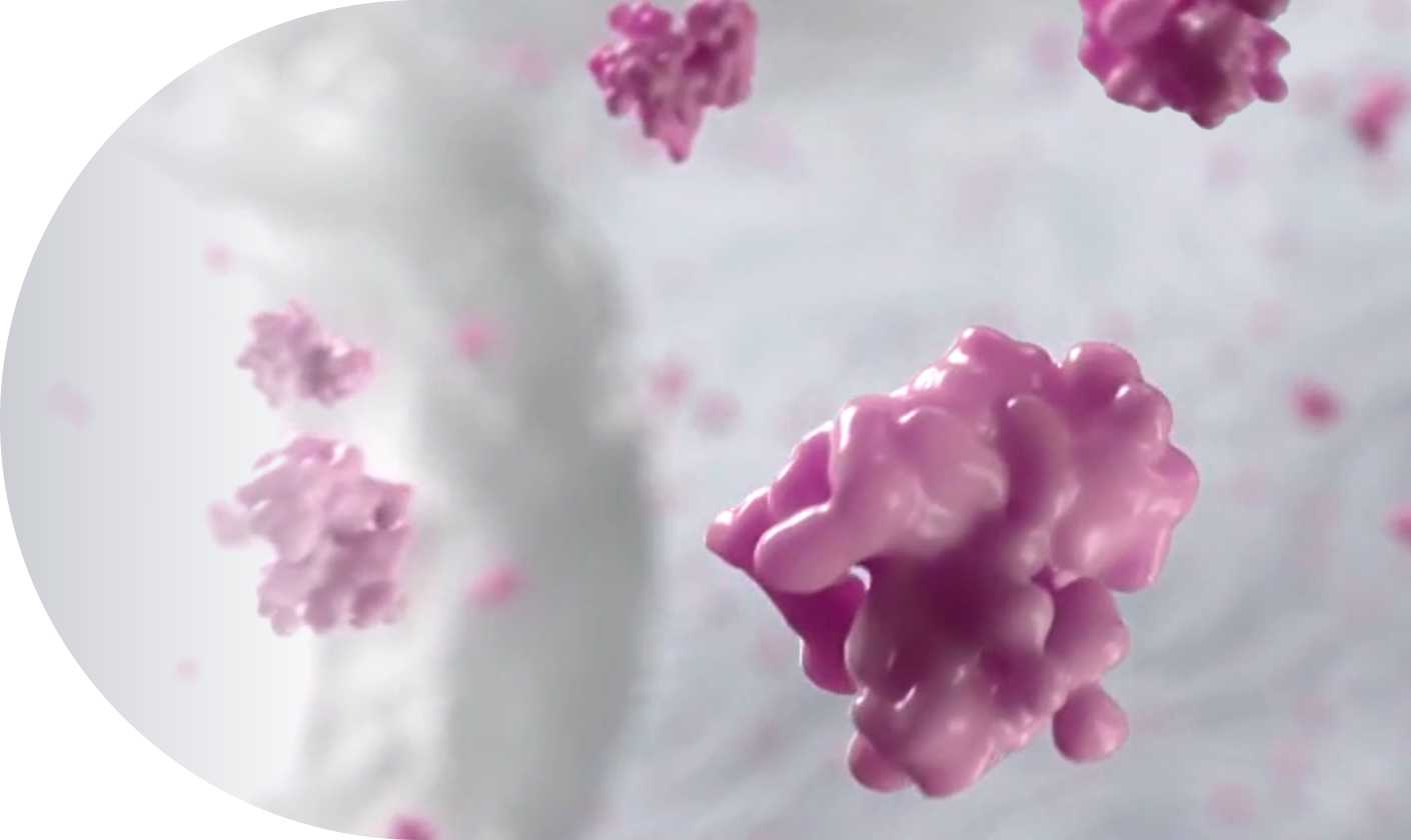 cells
